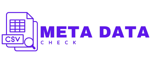 MetaData Analyzer Logo